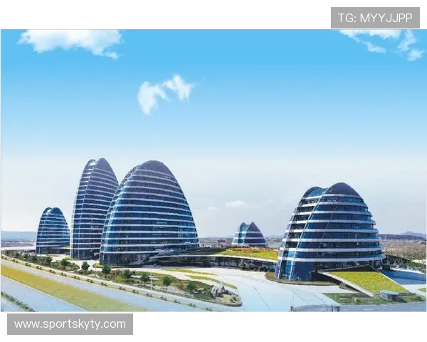 开云Kaiyun国际站如何提升企业海外市场竞争力实现多渠道销售的实用策略